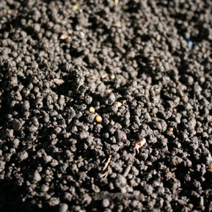 Organic Worm Castings